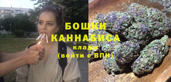 spice Аркадак