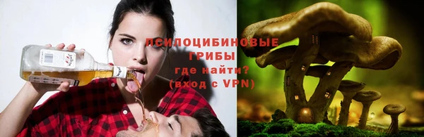 дживик Армянск