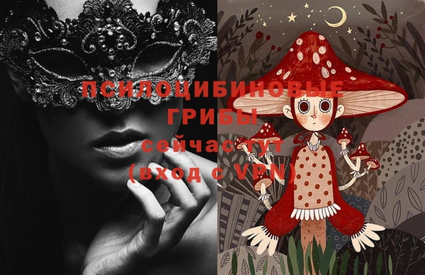 дживик Армянск