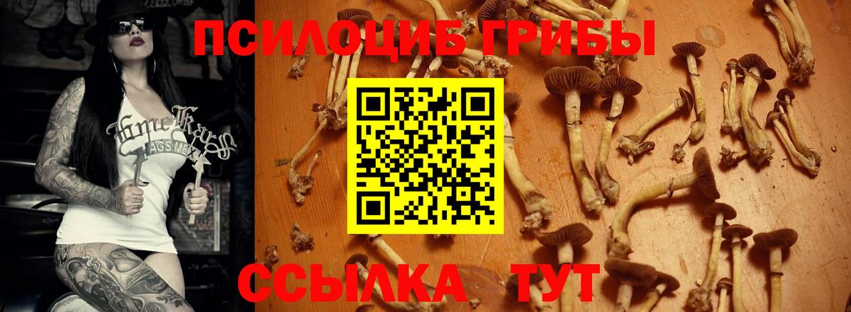 Псилоцибиновые грибы Magic Shrooms Курган