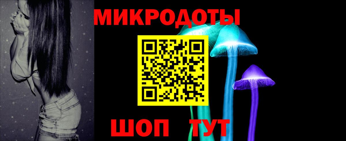Курган  Псилоцибиновые грибы Cubensis  Вход с VPN 